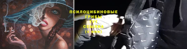 герыч Арсеньев